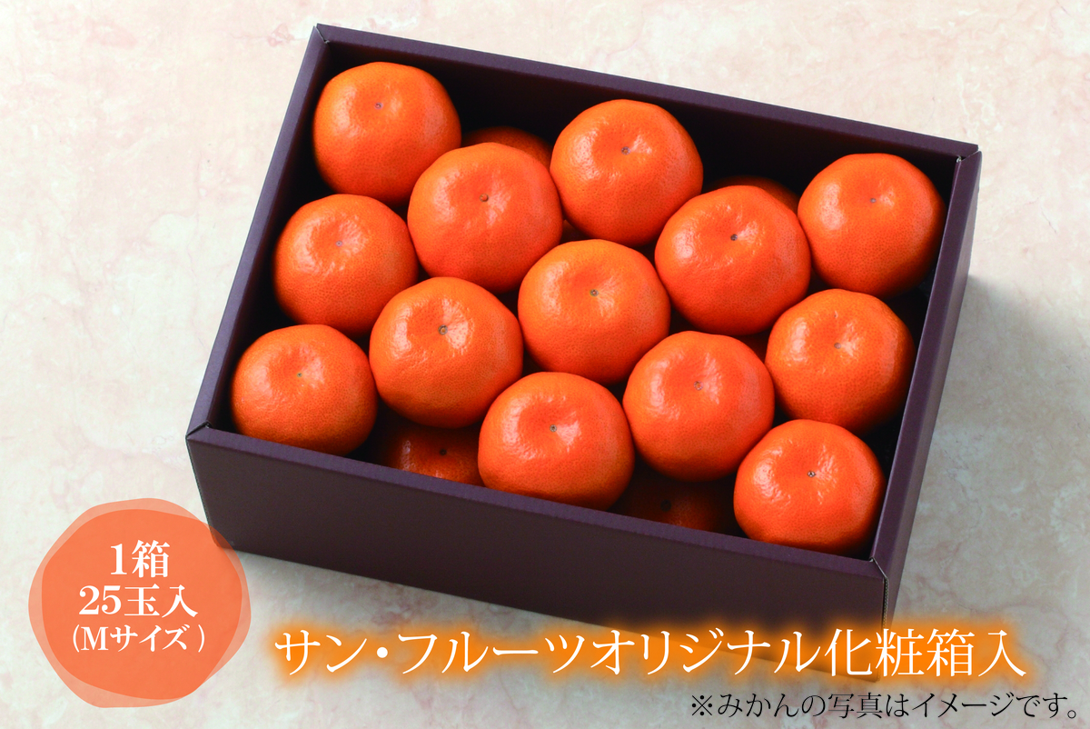 ネットストア限定】長崎県西海産 みかん Mサイズ25個入 JAながさき西海